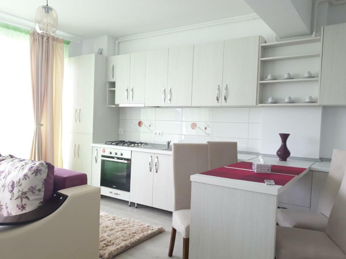 Apartament Coresi براشوف المظهر الخارجي الصورة